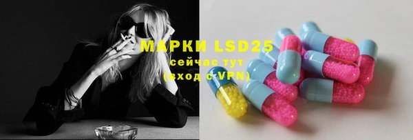 ПСИЛОЦИБИНОВЫЕ ГРИБЫ Абаза