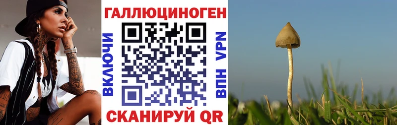 мега сайт  Новоуральск  darknet телеграм  Галлюциногенные грибы Magic Shrooms 